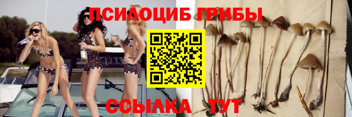 Псилоцибиновые грибы MAGIC MUSHROOMS Шелехов